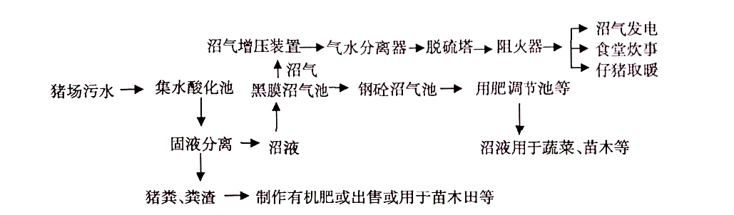 黑膜沼氣池